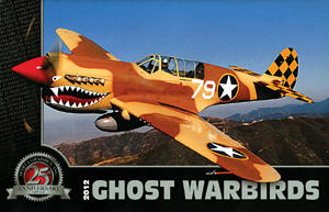 P-40 Warhawk Flying Tiger Airplane from WWII