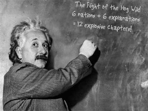 Einstein and the Hog Wild