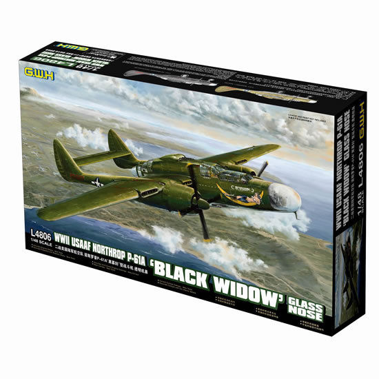 P61 Black Widow WW2 Model Airplane Kit