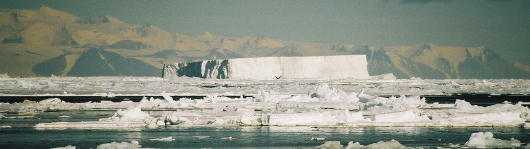 Antarctic Iceberg floating in pack ice