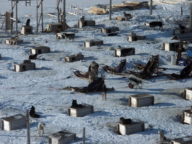 dog kennels on Svalbard.