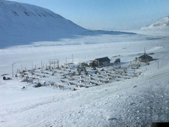 dog kennel on Spitsbergen.