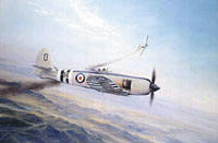 Hawker Sea Fury WW2 British Airplane