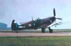 this is a real spitfire a british warbird from ww2