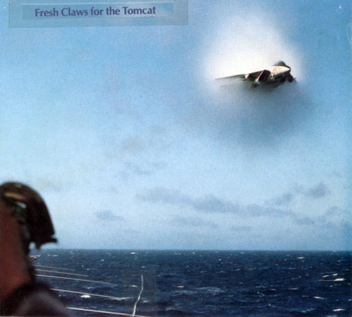 This is a picture of an F-14 Tomcat breaking the sound barrier, 100 feet over the deck of the USS Kitty Hawk.